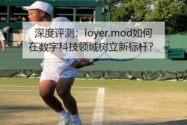 深度评测：loyer.mod如何在数字科技领域树立新标杆？