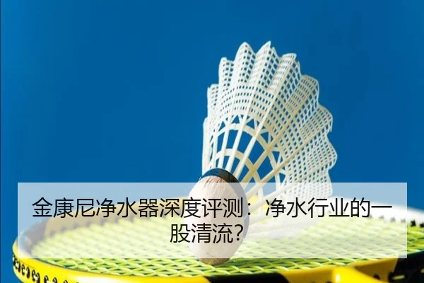 金康尼净水器深度评测：净水行业的一股清流？