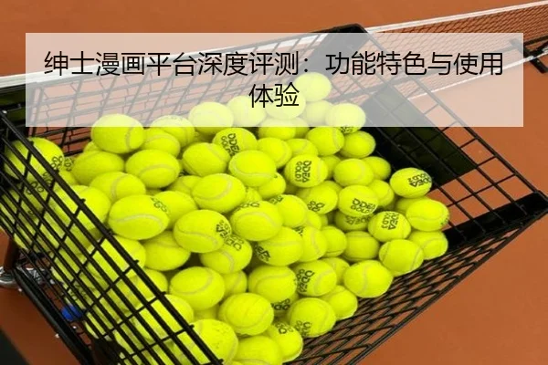绅士漫画平台深度评测：功能特色与使用体验